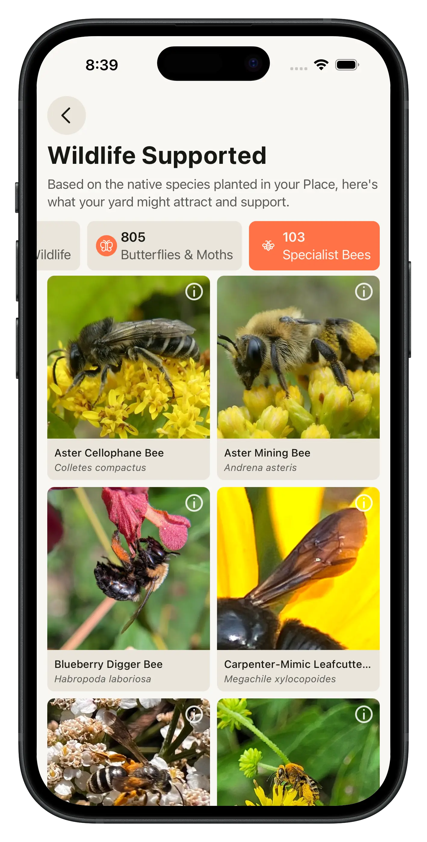 Wildr app: Watch it come to life